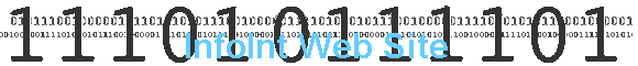 InfoInt Web Site